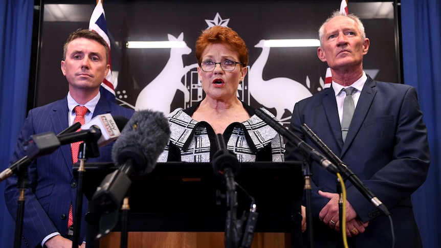 Blank-faced, James Ashby and Steve Dickson flank Pauline Hanson as she speaks at a lectern with microphones in front.