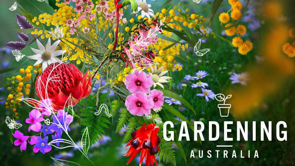 2026 | SERIES 37 Episode 19 | GREAT GARDENS - Gardening Australia