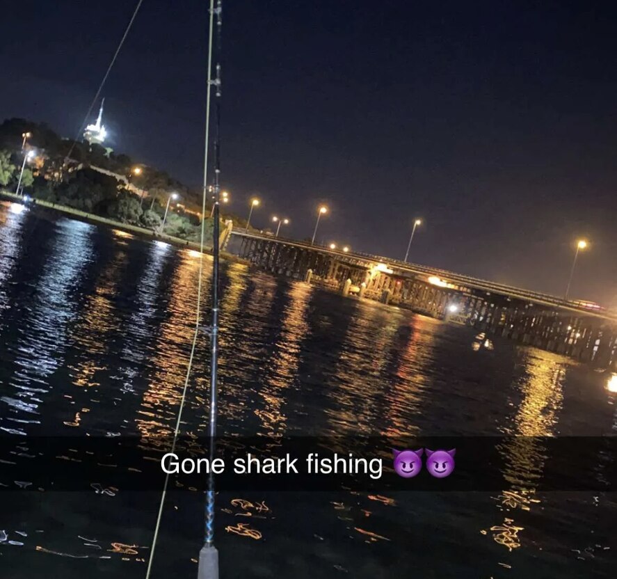Alert issued as photos emerge of large bull shark caught in Swan River