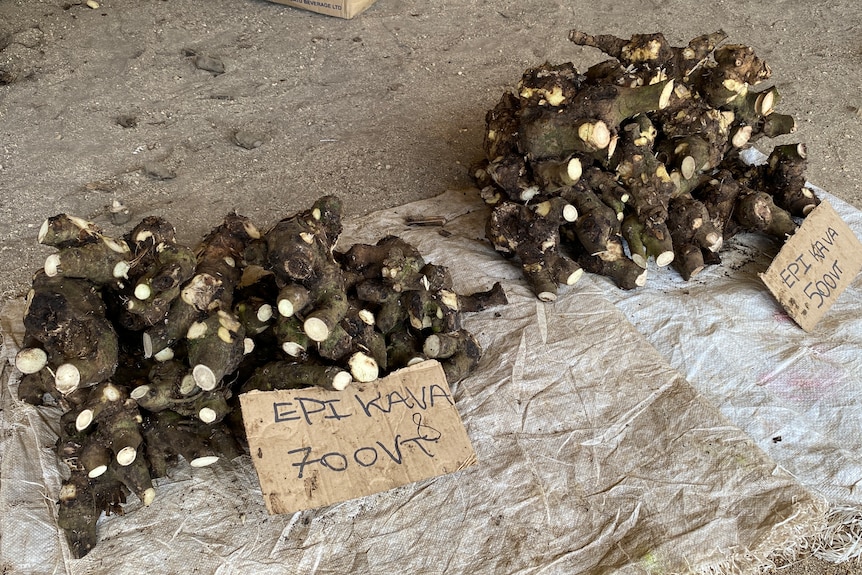 Kava roots for sale with signs showing the price at a market in Port Vila, Vanuatu.