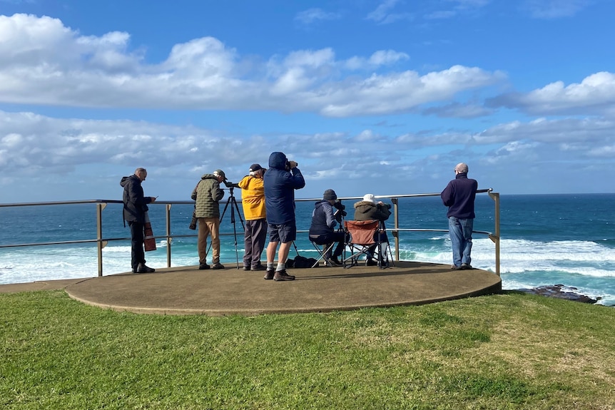 A group of men wearing winter jackets, stand on a headland and look through binoculars towards the ocean.