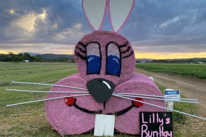 Hay bale painted and stacked to look like a pink rabbit