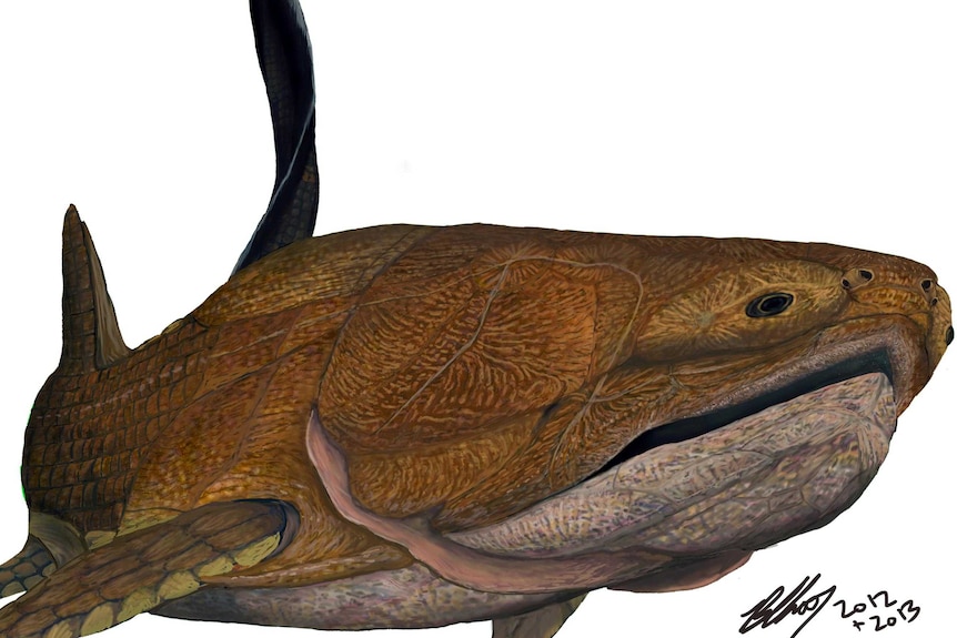 An artist's impression of an Entelognathus.