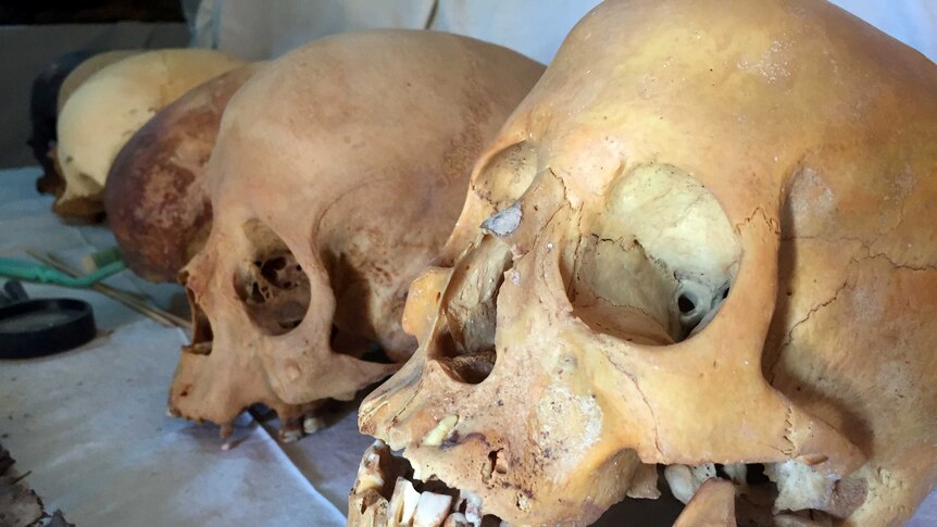 four human skulls on a table outside the newly discovered tomb.