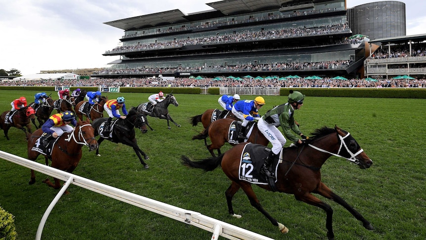 A jockey stands up in the irons as he passes the post to win a big horse race.