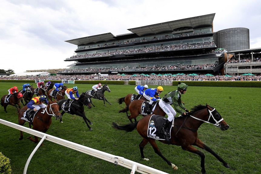 A jockey stands up in the irons as he passes the post to win a big horse race.