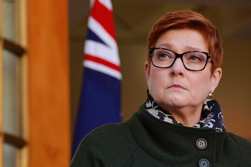 Marise Payne stops short of clarifying government's position on emissions  target amid National Party tension - ABC News