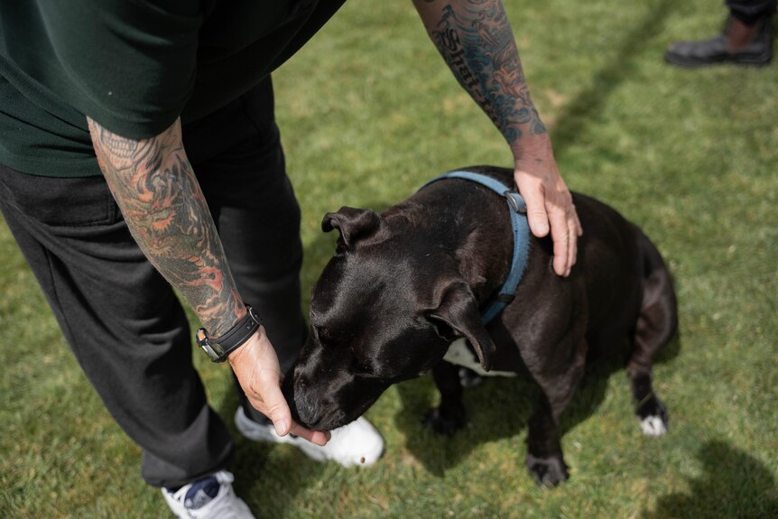 A man with tattoos on his arms pets a black dog sitting at his feet.