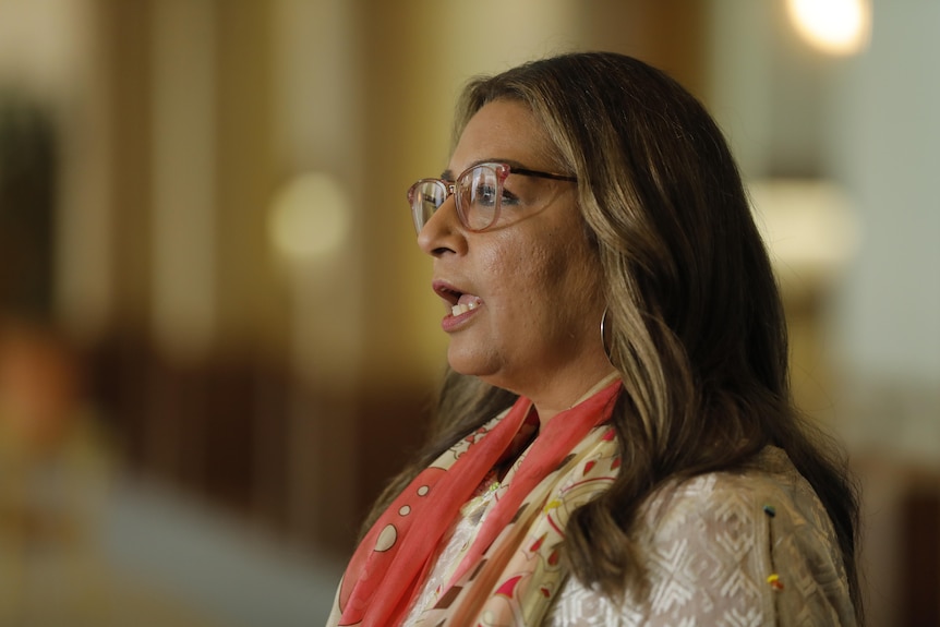 Side shot of Mehreen Faruqi speaking. She's got glasses on, a scarf around her neck, and long brown hair.