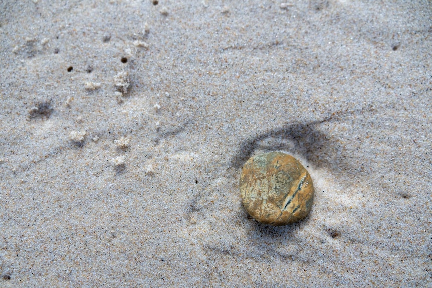 Close up of pebble on the beach