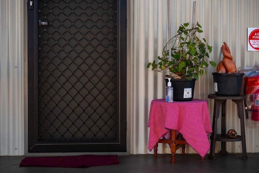 Items like a pot plant and sweet potato outside a workers hut.