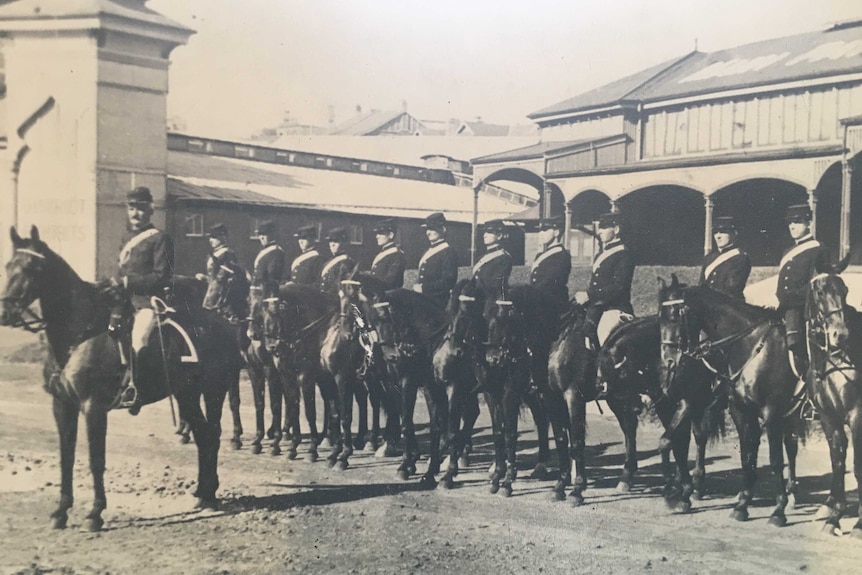 Horses and police in a line.