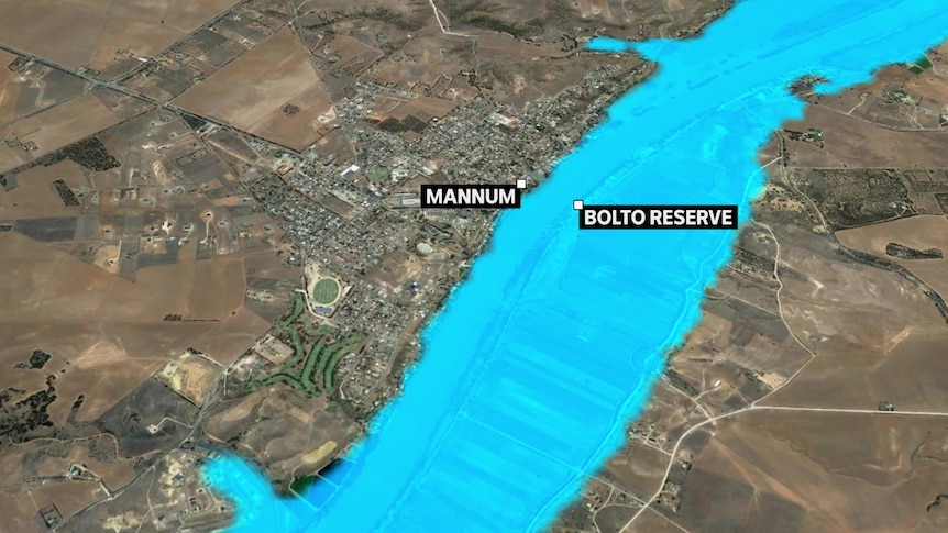 A map of predicted flooding in the Mannum area of the Murraylands