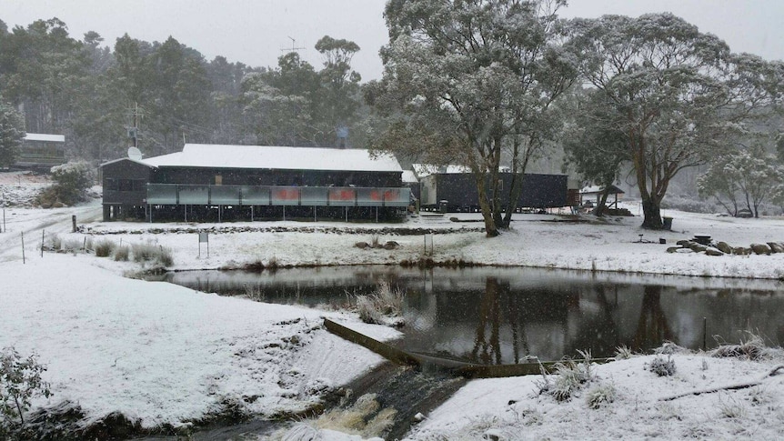 Snow at Corin Forest.