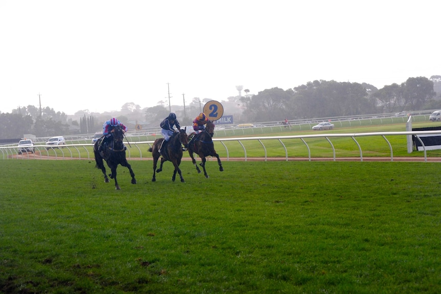 Warrnambool May Carnival horse racing