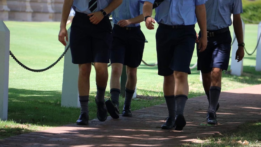 Schoolboys' legs