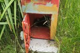 A red post box in grass with a small black animal visible inside it