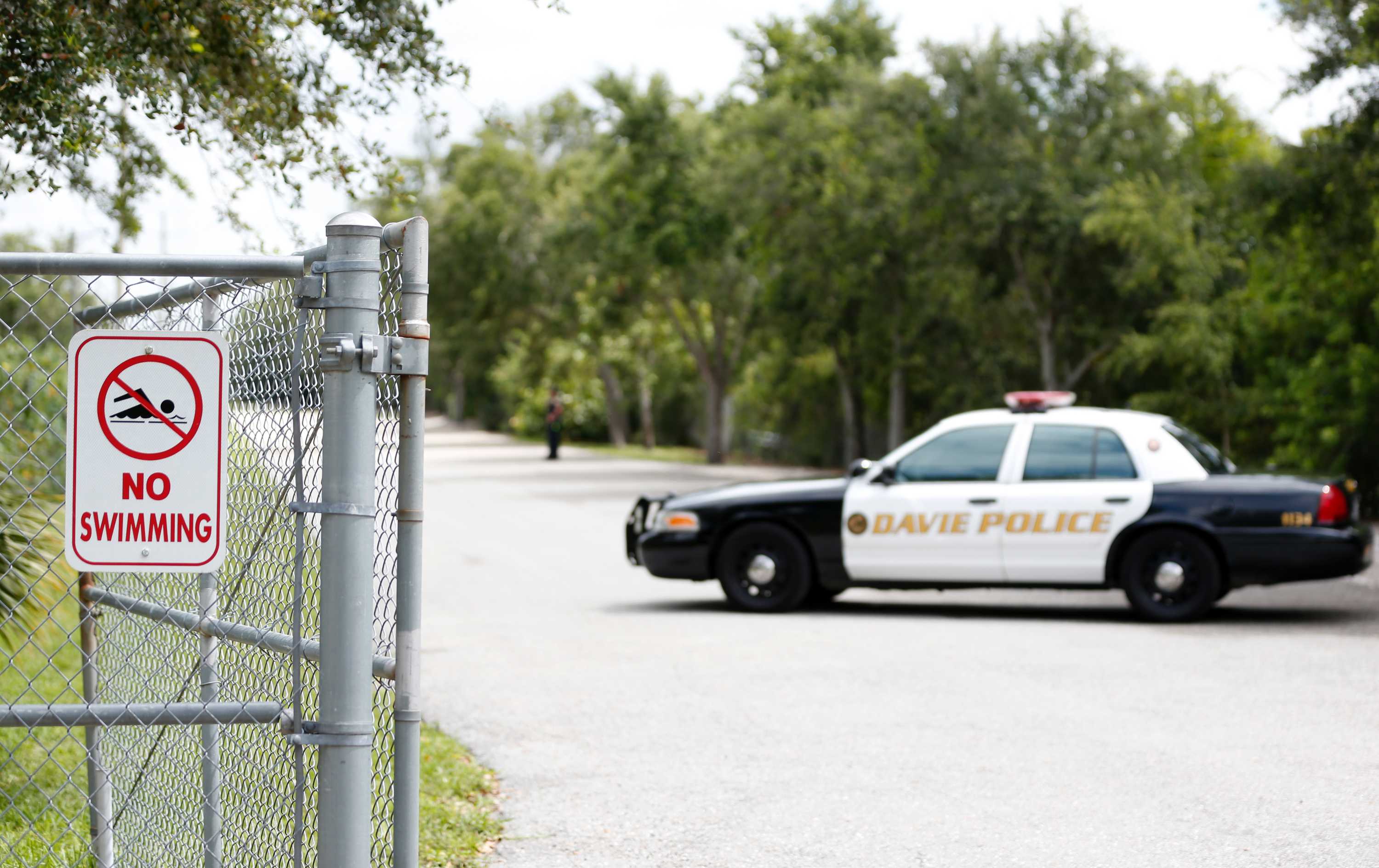 Alligator likely killed woman who disappeared while walking her dogs ...
