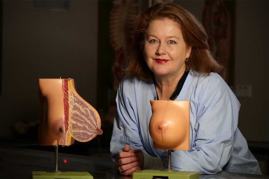 A professora associada Deirdre McGhee se apoia em uma mesa de laboratório com um modelo de peito aberto.