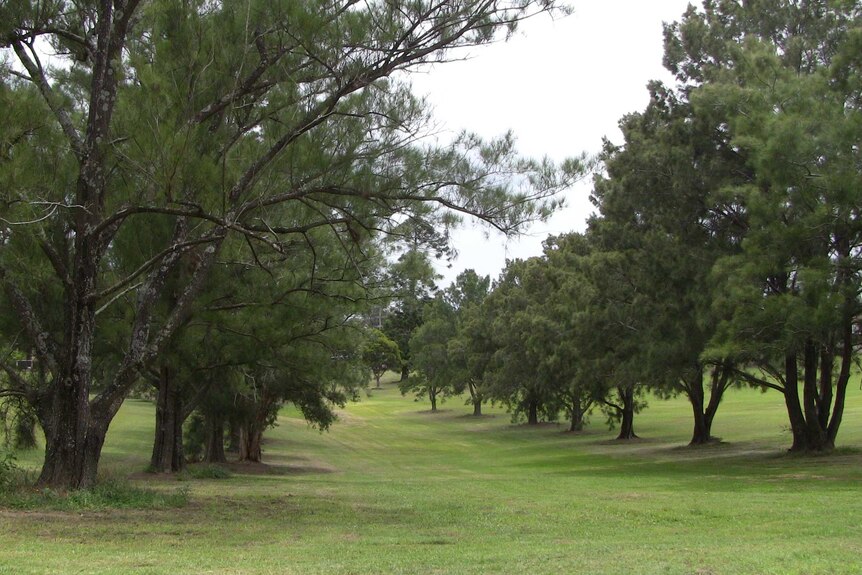 Boomerang Park in Raymond Terrace.