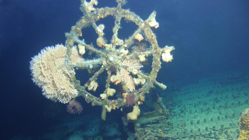 Wheel of ghost ship found off Hawaii coast