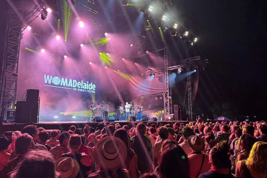 A concert at WOMADelaide.