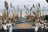 Pampas grass decorations at a wedding at Byron Bay, with Julian Rocks in the distance