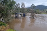 Minor flooding occurring along the Murray River and coming into the Walwa Riverside Caravan Park 
