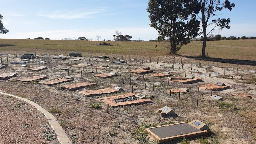 The gravestones of pets, the surrounding ground is very dry