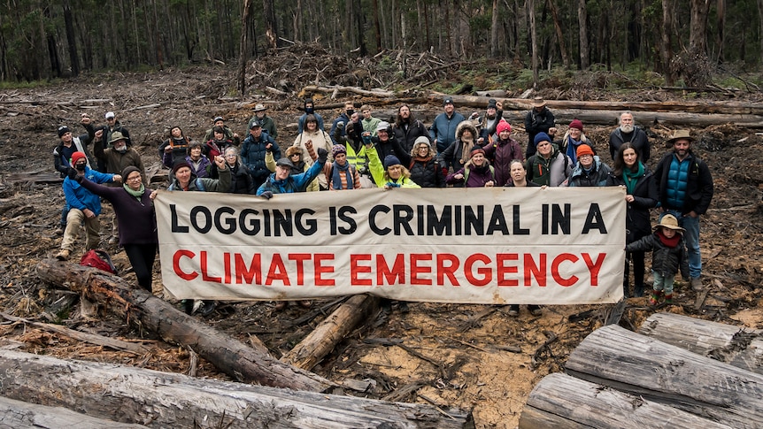 A group hold a large banner saying 'logging is criminal in a climate emergency'