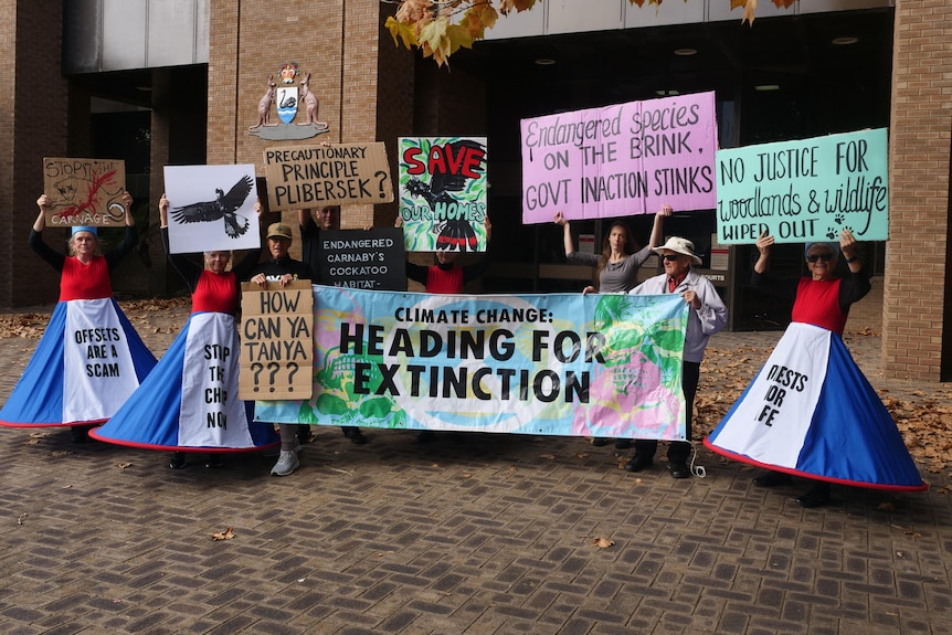 Protesters wearing colourful costumes holding signs outside a courthouse
