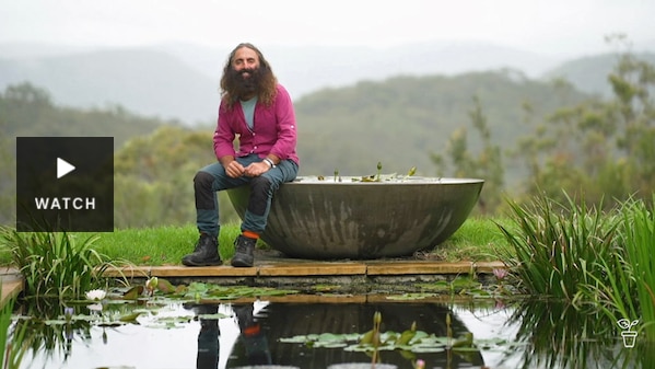 Costa sitting on the edge of a large pot at the end of a pond. Has Video.