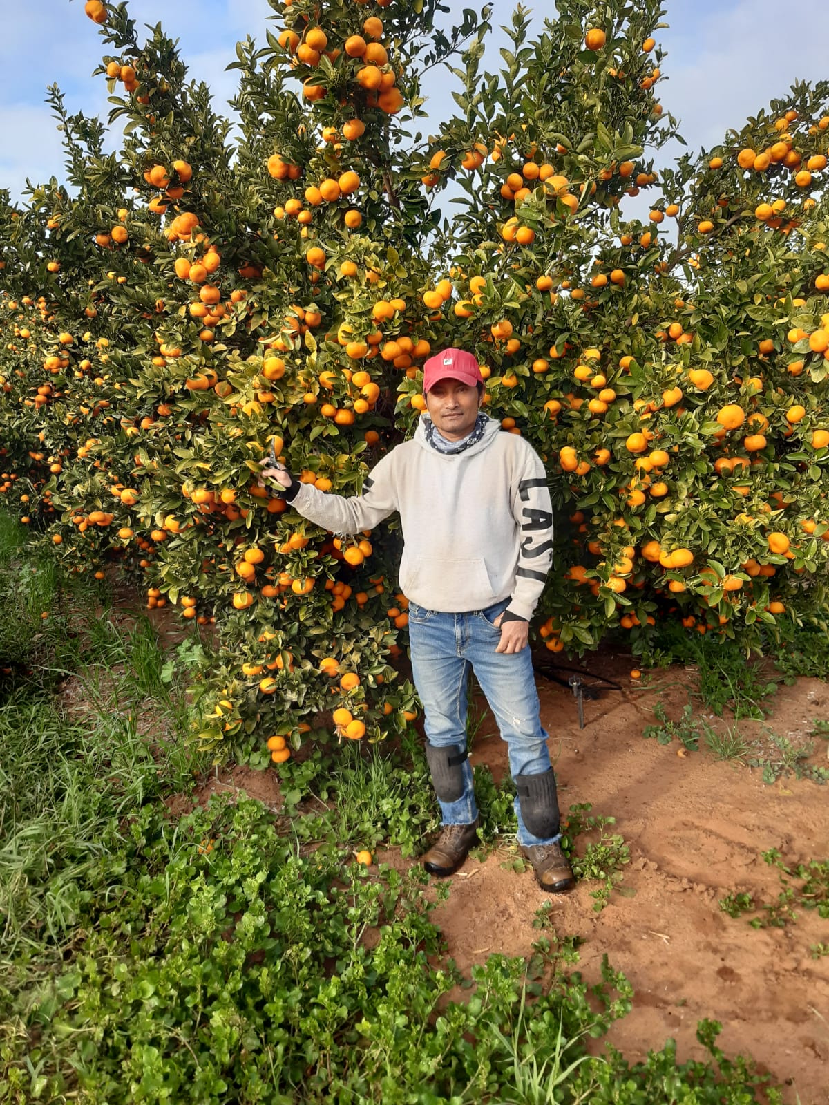 Mohamad Darmadi Shepparton