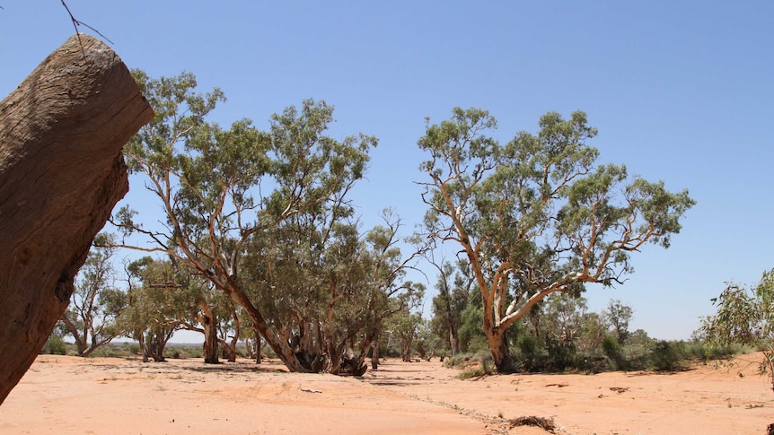 Broken Hill has been struggling to secure its water supply