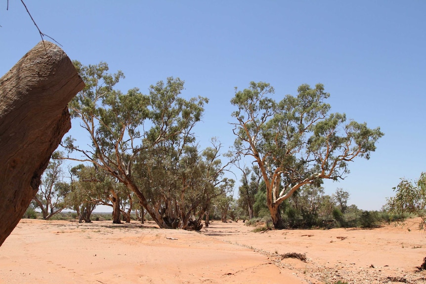 Rain is badly needed at Broken Hill in New South Wales.