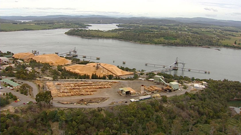 Gunns Longreach chip mill next to the proposed pulp mill site.