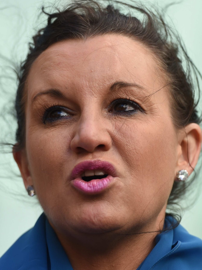 Lambie is daring Palmer to sack her.