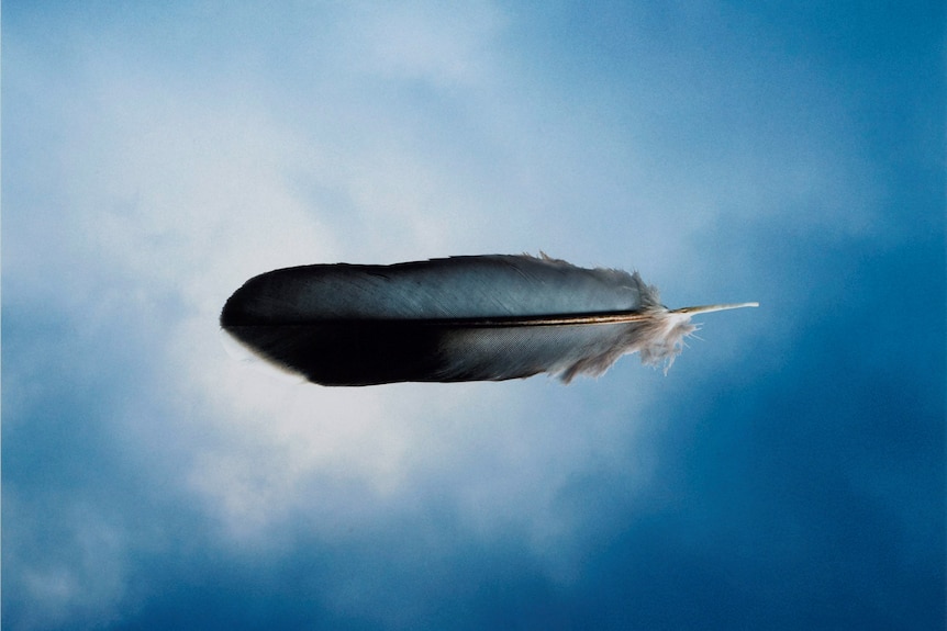 An image of a feather set against a blue sky and a wispy cloud