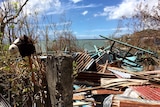 Roofing material is piled up next to a toy horse on the shore of a bay.