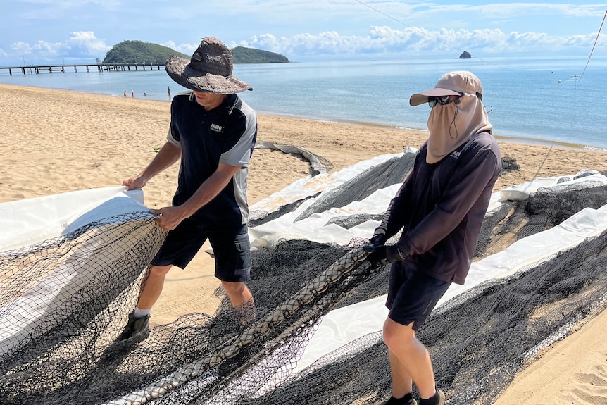 Two men drag a stinger enclosure along a beach