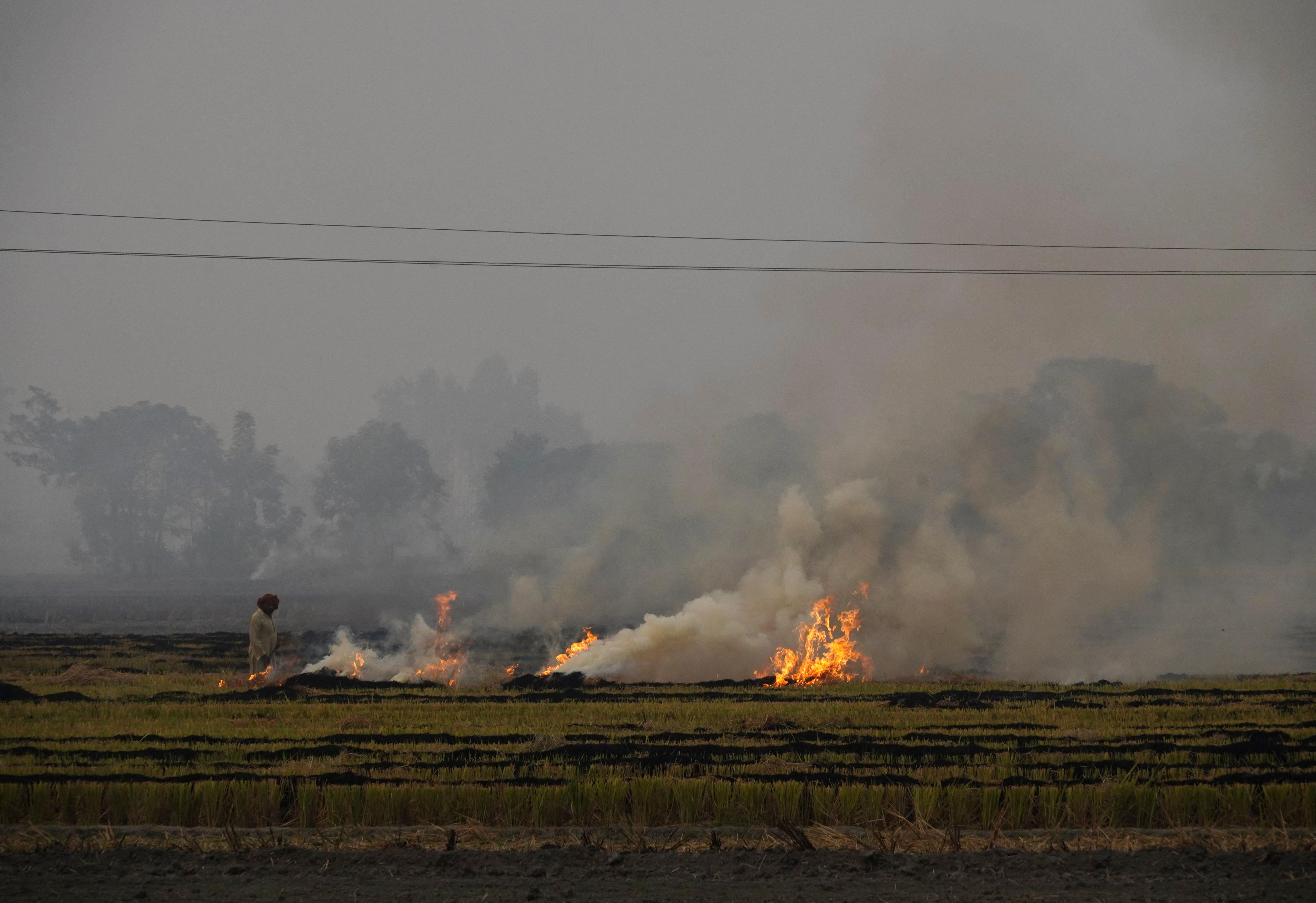 A farmer burns stubble in a rice field amid ongoing air pollution