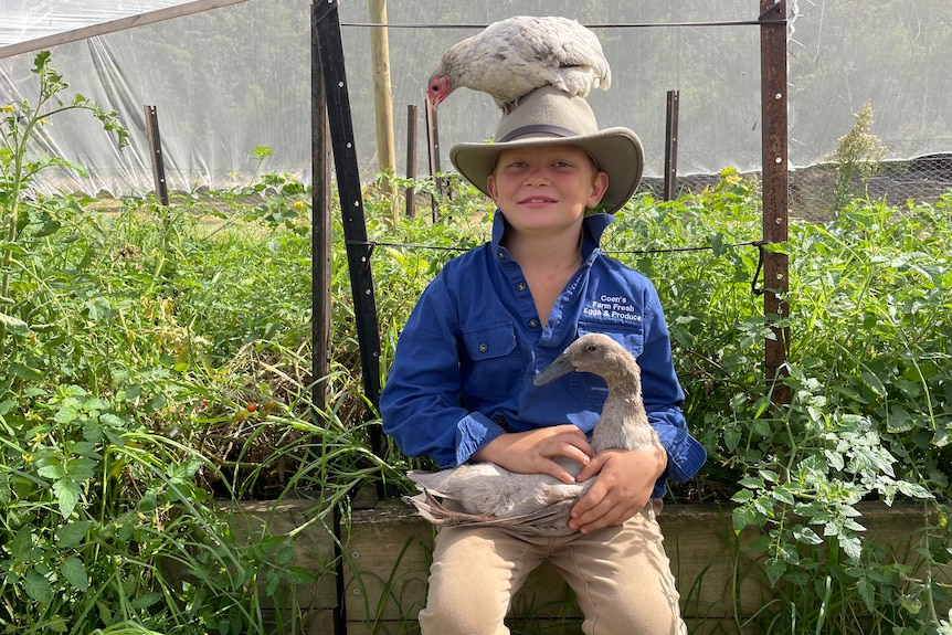 young boy with chicken on head cuddling duck