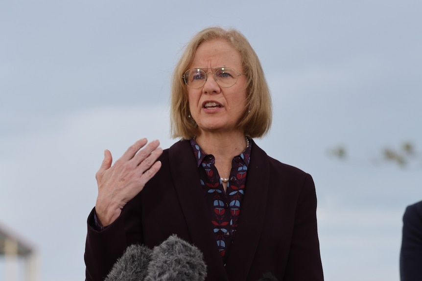 Dr Jeannette Young gestures as she speaks at a media conference.