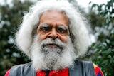 Jack Charles with white hair and beard stares down with green trees in background.