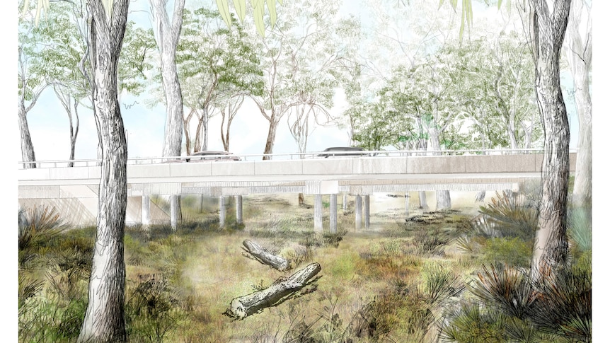Watercolour of trees with a car on a bridge and wildlife underpass running underneath