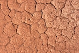 Close up of red hard soil cracking