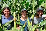 Corn Beer group photo