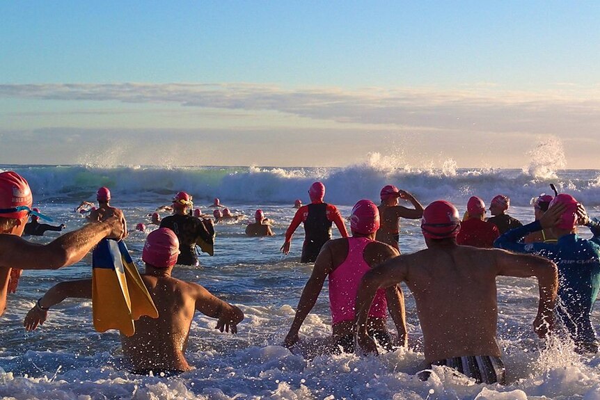Swimmers face a wave
