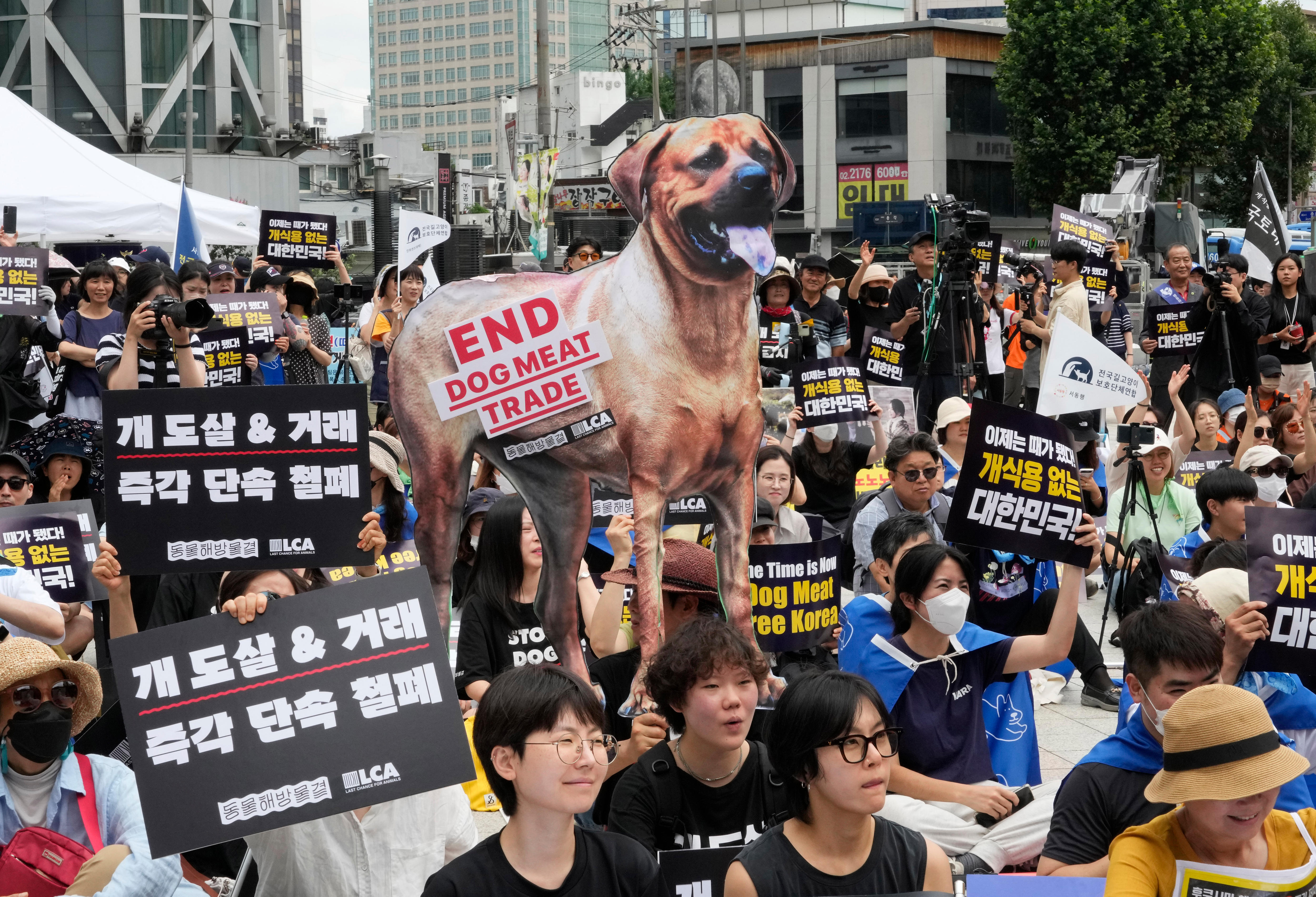 Animal rights activists stage a rally opposing South Korea's traditional culture of eating dog meat, holding images of dogs. 