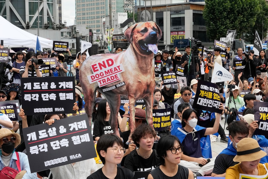 Animal rights activists stage a rally opposing South Korea's traditional culture of eating dog meat, holding images of dogs. 